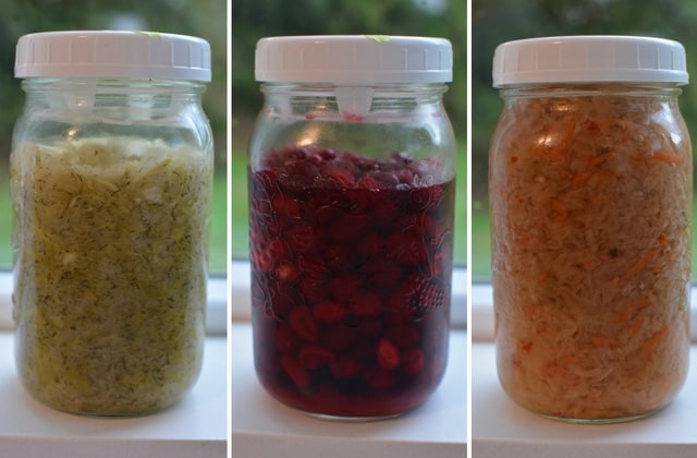 Three jars of sauerkraut using the ViscoDisc Canning Buddies to hold ferment below the brine during storage. | MakeSauerkraut.com