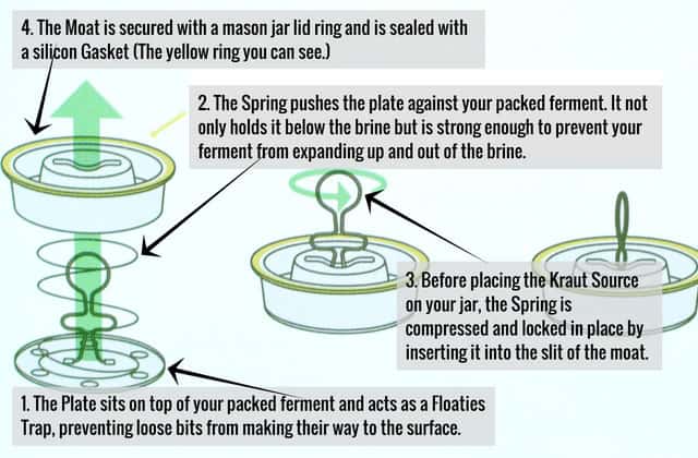 Cartoon illustration of the Kraut Source fermentation lid components and their descriptions. | MakeSauerkraut.com