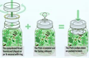 Kraut Source Fermentation Kit | Sur La Table