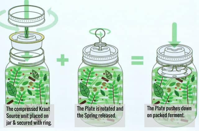 Cartoon illustration showing how to use the Kraut Source fermentation lid. | MakeSauerkraut.com