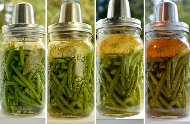 Four pictures in a row of a jar of fermented green greens with the Kraut Source Fermentation Lid with brine transitioning from, light yellow, yellow to orange. | MakeSauerkraut.com