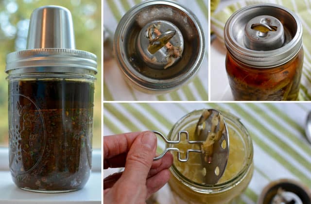 Four image collage of different fermented food using the Kraut Source Fermentation lid, left image showing the finished fermented Raising Chutney, top middle image showing top view of the Kraut Source with some gunk due to the overflowed brine, top right image showing finished fermented Green beans jar, bottom image showing fingers lifting the spring and plate from the sauerkraut jar. | MakeSauerkraut.com