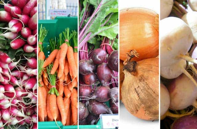 Five images of vegetables arranged from left to right: red radishes, piles of carrots, beetroots, onions, and turnips. | MakeSauerkraut.com