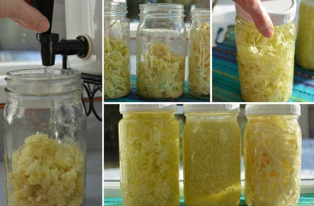 Four images in a collage, left image showing a jar of sauerkraut being filled with water, top middle image showing three jars of sauerkraut without the brine, top right showing a hand screwing a white lid over a jar of sauerkraut, bottom image showing three jars of sauerkraut with different sizes of sliced cabbage. | MakeSauerkraut.com