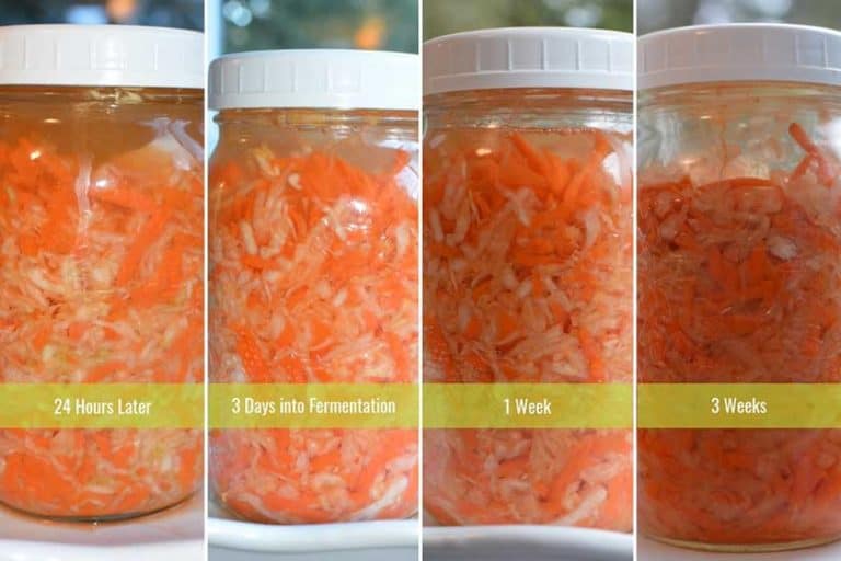 Absolutely the Best Homemade Sauerkraut Recipe [Jar] MakeSauerkraut