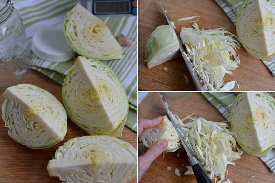 Quarter cabbage and then slice thinly. | makesauerkraut.com