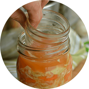 Holding the sauerkraut mixture below the brine. | MakeSauerkraut.com