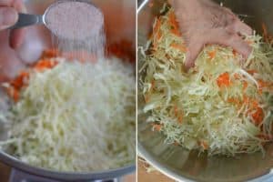 Sprinkle with salt and mix well. | MakeSauerkraut.com