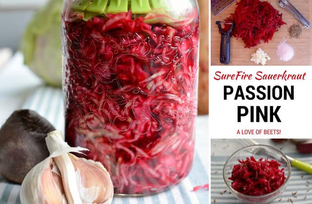 A three image collage with a jar of passion pink sauerkraut with shredded beets with green fermentation weight and some cloves of garlic at the left side and top and bottom right images showing shredded beets and tools, with the two pictures separated by "SureFire Sauerkraut Passion Pink: A love of beets!". | MakeSauerkraut.com