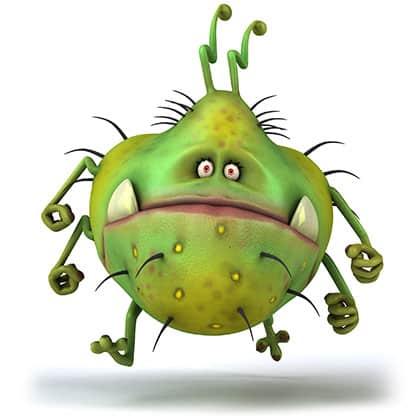 Cartoon illustration of a bacteria with 6 pairs of legs bottom fangs and small eyes. | MakeSauerkraut.com