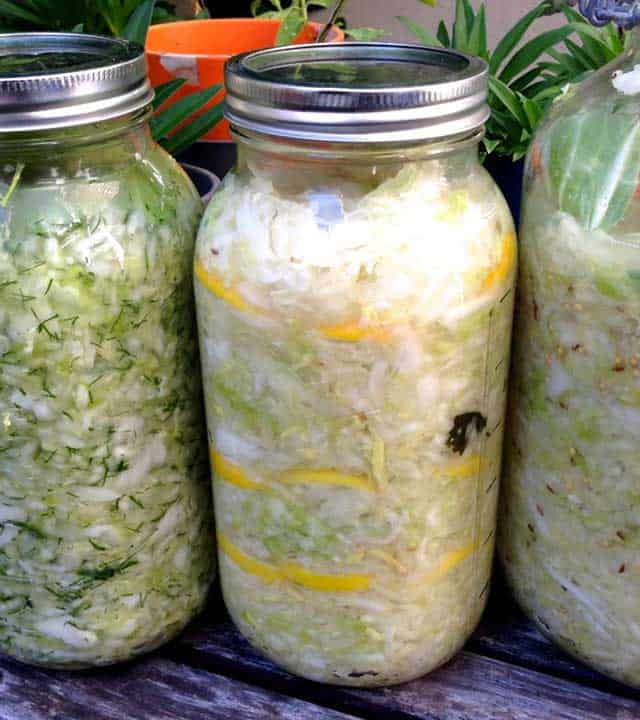 Three jars of filled lemon ginger sauerkraut with metal lids. | MakeSauerkraut.com
