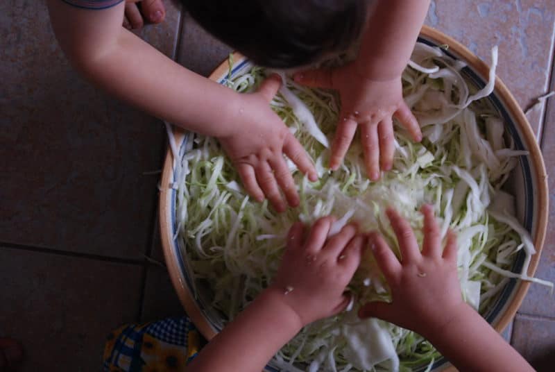 Two sets of small hands mixing sliced cabbages inside a bowl on the floor. | MakeSauerkraut.com