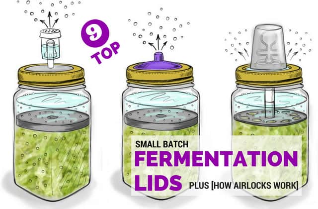 Fermentation lids with arilocks. | makesauerkraut.com