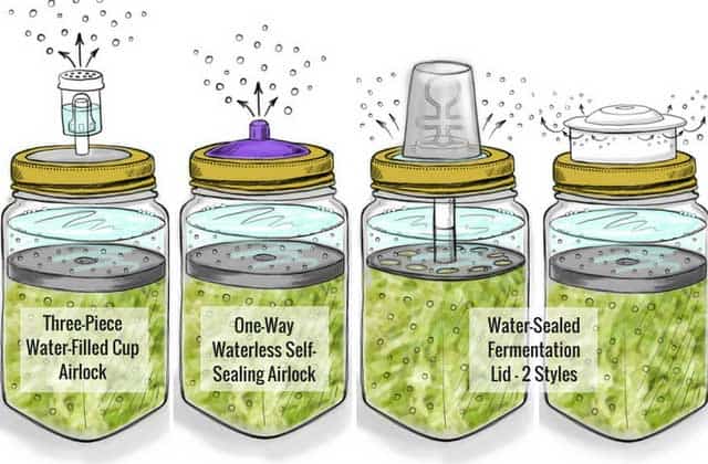 Cartoon illustration of fermentation lids with airlocks. | MakeSauerkraut.com