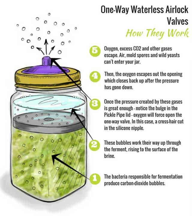 Cartoon illustration on Fermentation lids: One-way waterless airlock valves and how they work. | MakeSauerkraut.com
