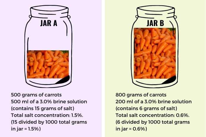 Salt concentration comparison with brine chart Two jars of carrots with different amounts of brine and vegetables. | MakeSauerkraut.com
