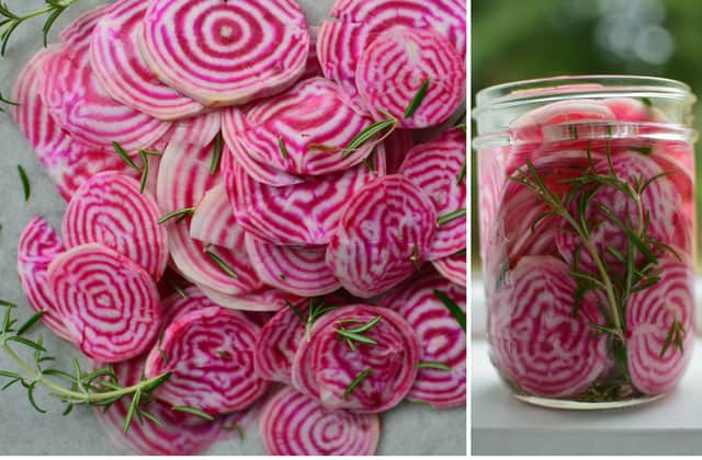 Two images side-by-side with the left image showing pile of fresh beets cut in circles with white and red rings inside and some rosemary sprinkled on top and the right side showing the front view of a glass jar filled with sliced beets with rosemary in brine. | MakeSauerkraut.com