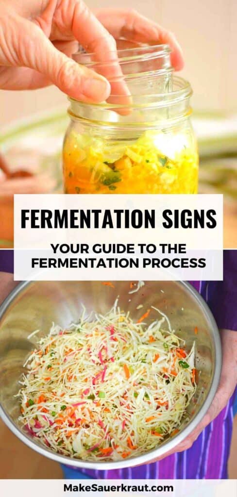 Fermentation Signs: Your Guide to the Fermentation Process