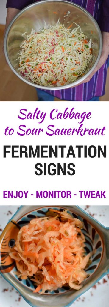 What to watch for as your sauerkraut ferments. | makesauerkraut.com