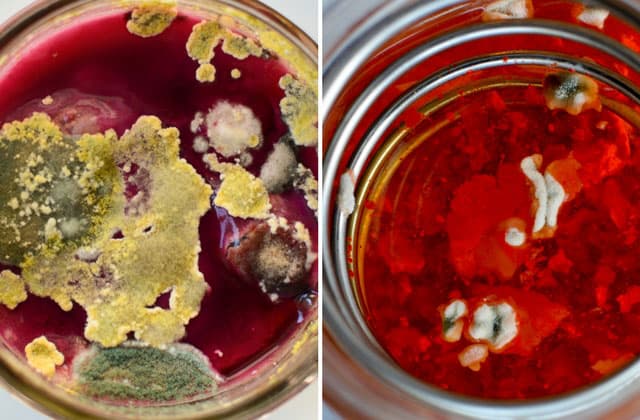 Two pictures showing the top view of mold growing on a batch of fermented beets. | MakeSauerkraut.com