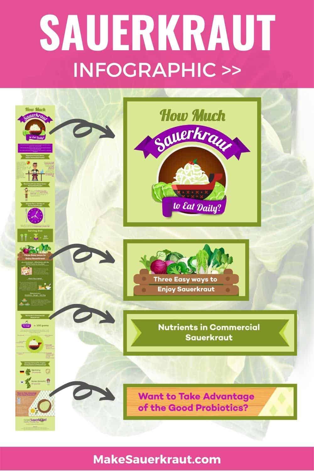 How Much Sauerkraut to Eat Per Day? {My Complete Guide} MakeSauerkraut