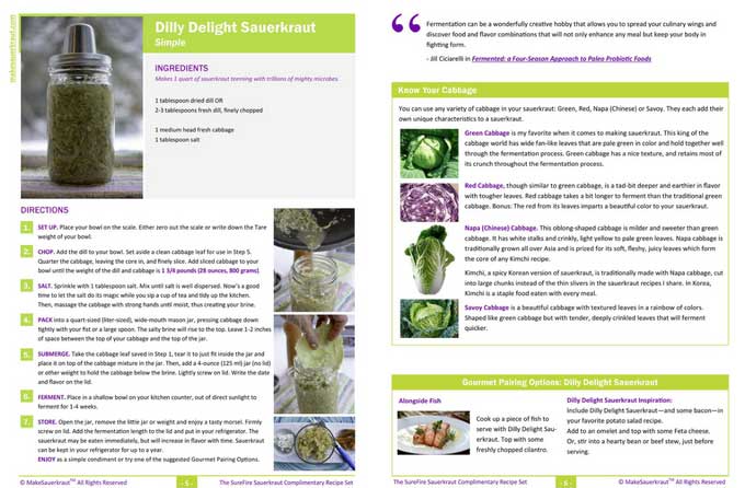 Full image if a two page pdf on dilly delight sauerkraut recipe with a big picture of glass jar and stainless steel airlock lid, process of making and the different types of cabbage to use. | MakeSauerkraut.com