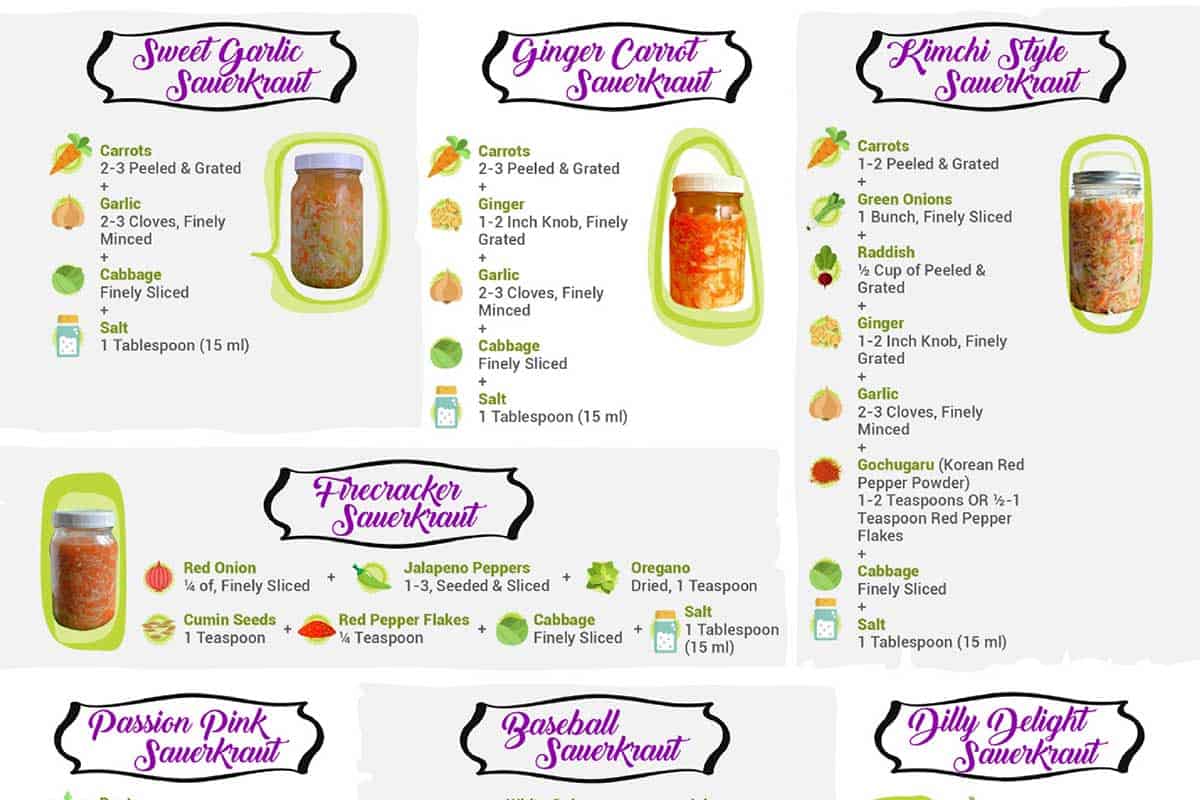 Infographic Sauerkraut Recipes To Tantalize Your Tastebuds