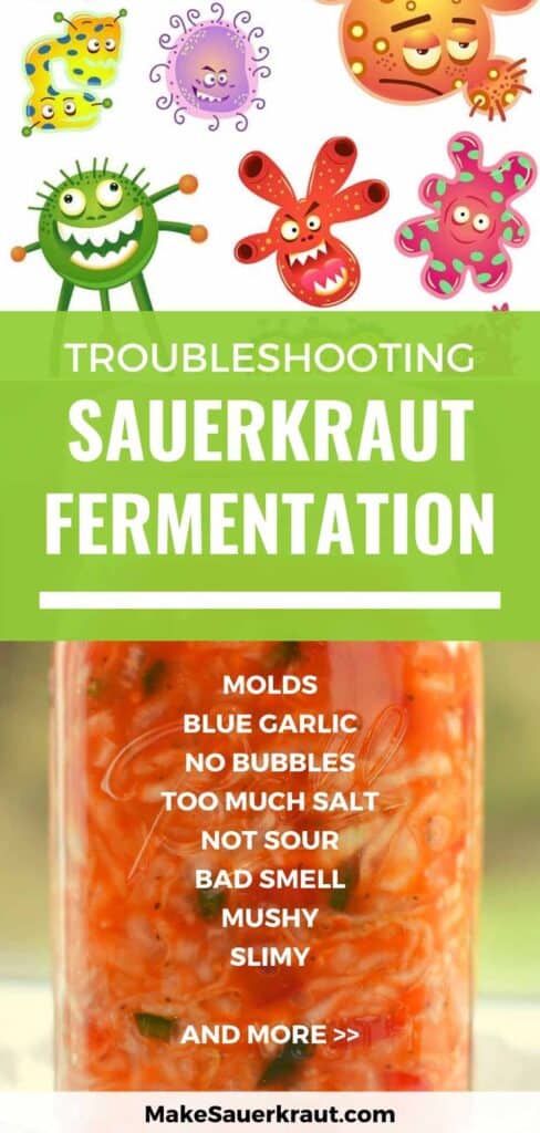 Troubleshooting sauerkraut fermentation: molds, blue garlic, no bubbles, too much salt, not sour, bad smell, mushy, slimy and more