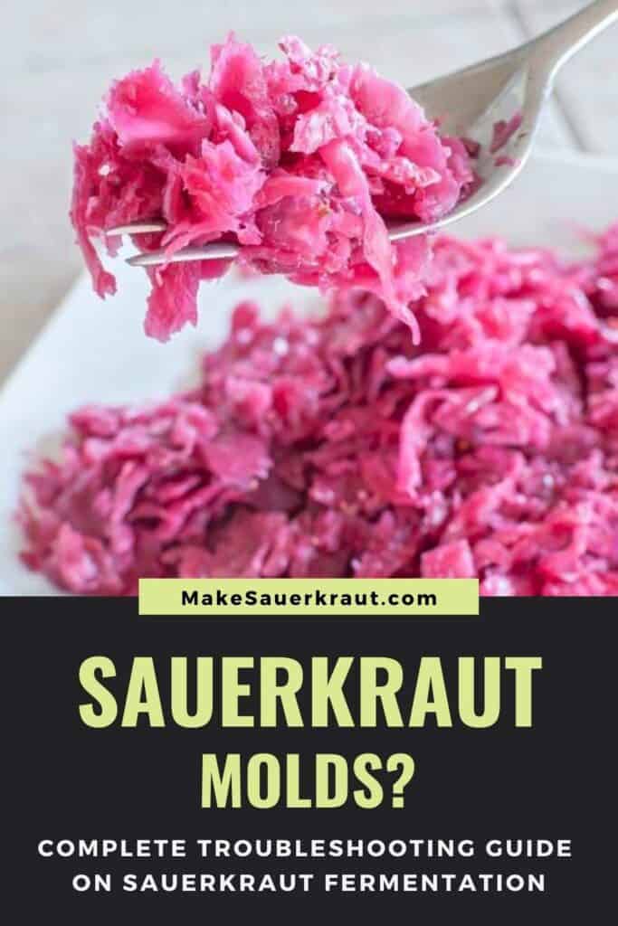 Forkful of sauerkraut from a plate, Sauerkraut molds? Complete Troubleshooting Guide on Sauerkraut Fermentation
