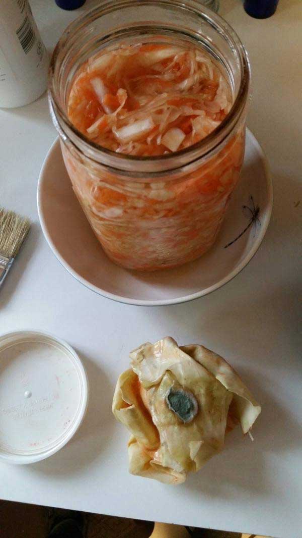 Opened, filled jar of sauerkraut in a bowl with molds growing over exposed cabbages. | MakeSauerkraut.com