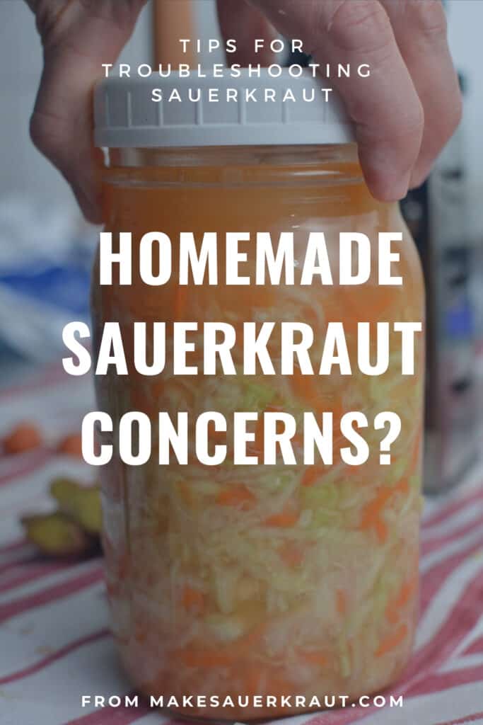 Guide for troubleshooting your homemade sauerkraut. } makesauerkraut.com