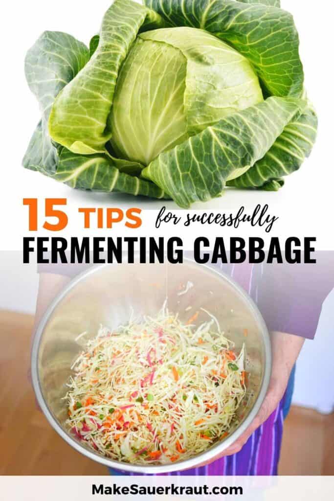 15 Expert Tips for successfully fermenting cabbage