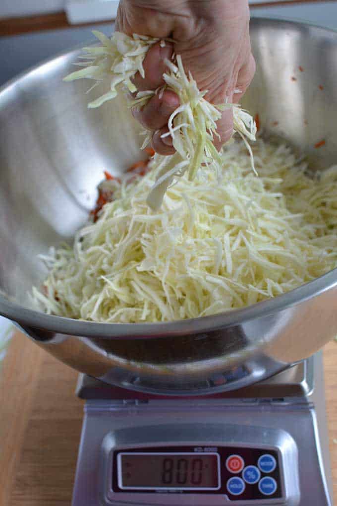 A hand grabbing the shredded cabbage from a metal bowl that's placed over a digital scale. | MakeSauerkraut.com