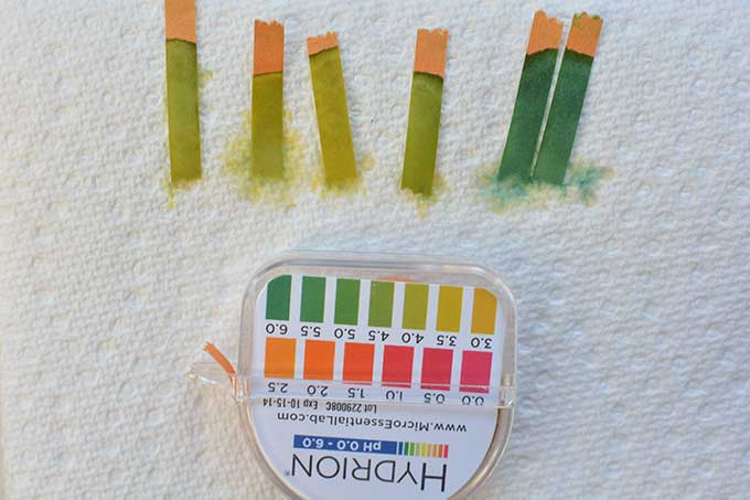 Top view of pH test kit and six used pH strips. | MakeSauerkraut.com