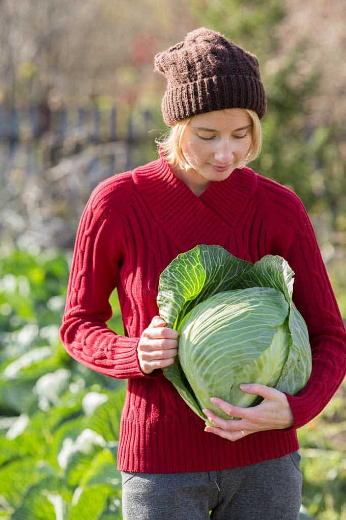 Woman with red sweater and brown wool hat holding a head of cabbage in the field. | MakeSauerkraut.com