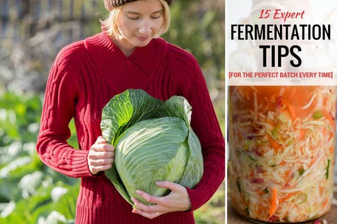 15 EXPERT Fermentation Tips for the Perfect Batch Every Time. | makesauerkraut.com