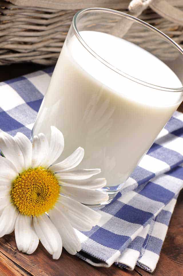 Glass of milk and a flower beside it over a blue and white checkered cloth. | MakeSauerkraut.com