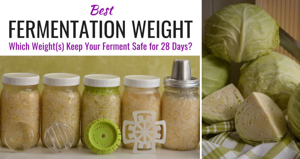BEST Fermentation Weight for Fermenting in Jars [28Day Challenge
