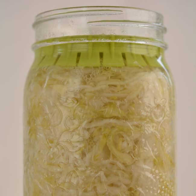 Front view of a plain sauerkraut using the Pickle Pusher fermentation weight at day 7. | MakeSauerkraut.com