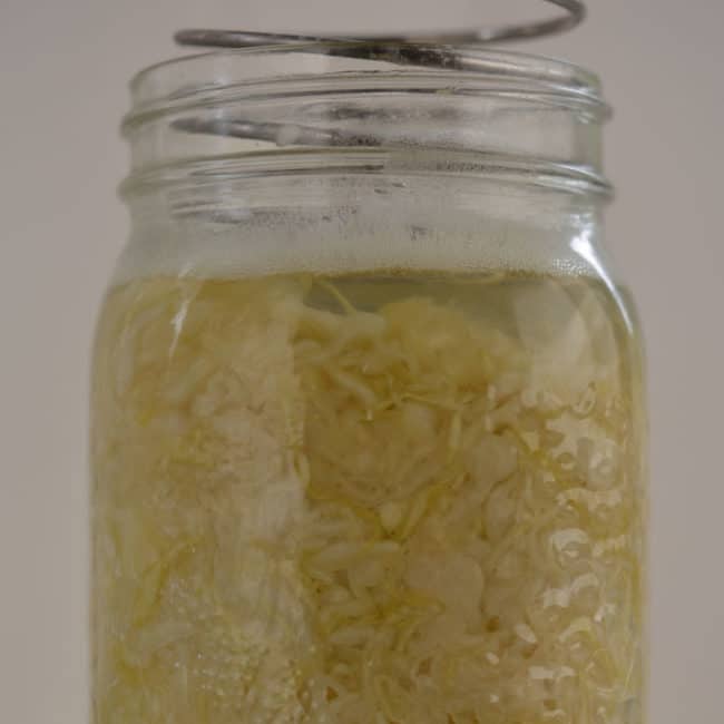 Front view view of a plain sauerkraut using the Pickle Helix fermentation weight at day 7. | MakeSauerkraut.com