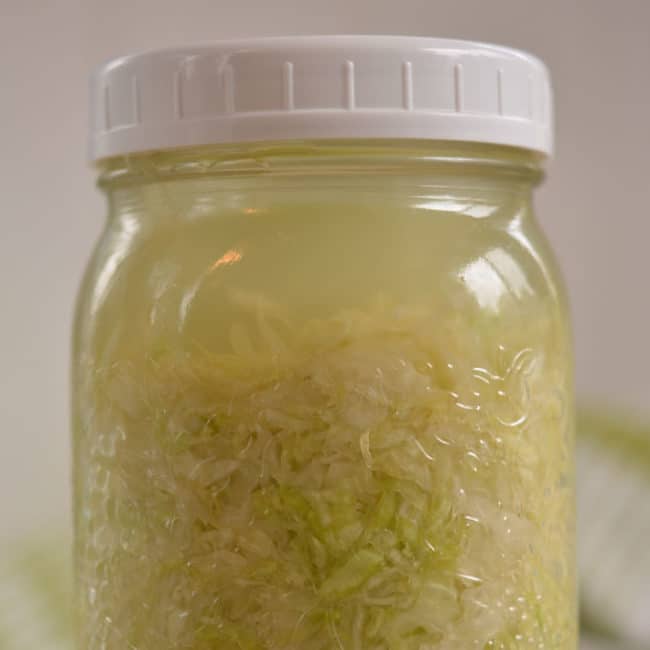 Front view of a plain sauerkraut using the small jelly jar fermentation weight at day 1. | MakeSauerkraut.com