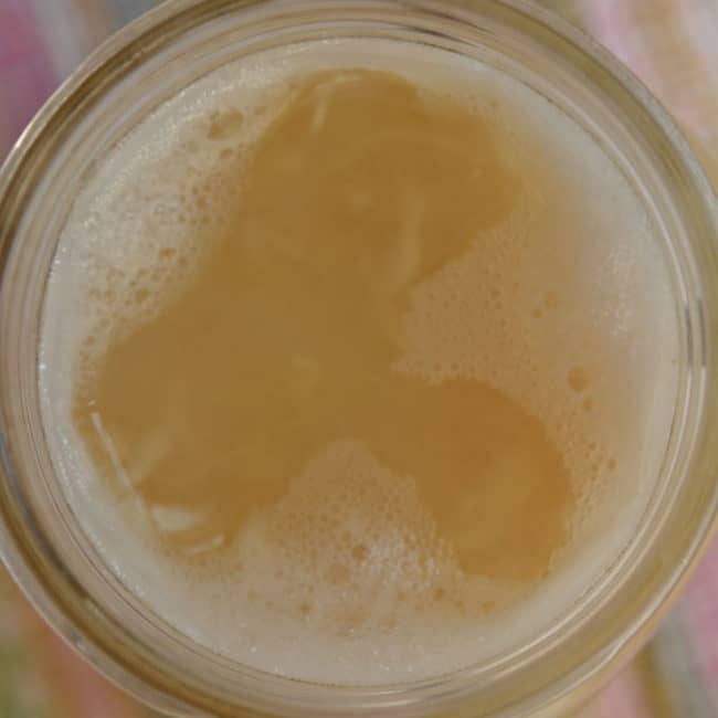 Top view of a plain sauerkraut using the Canning Buddies fermentation weight at day 7. | MakeSauerkraut.com