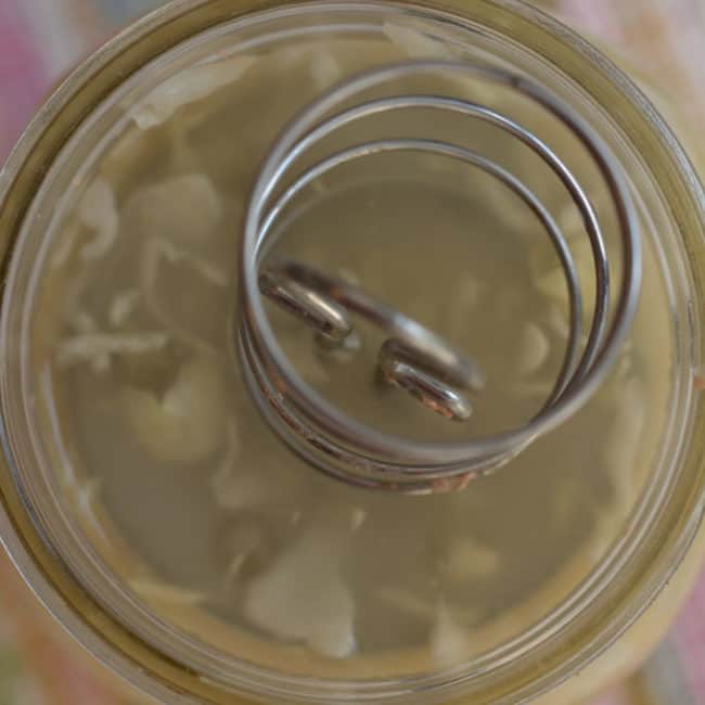 Top view view of a plain sauerkraut using the Kraut Source fermentation weight at day 7. | MakeSauerkraut.com