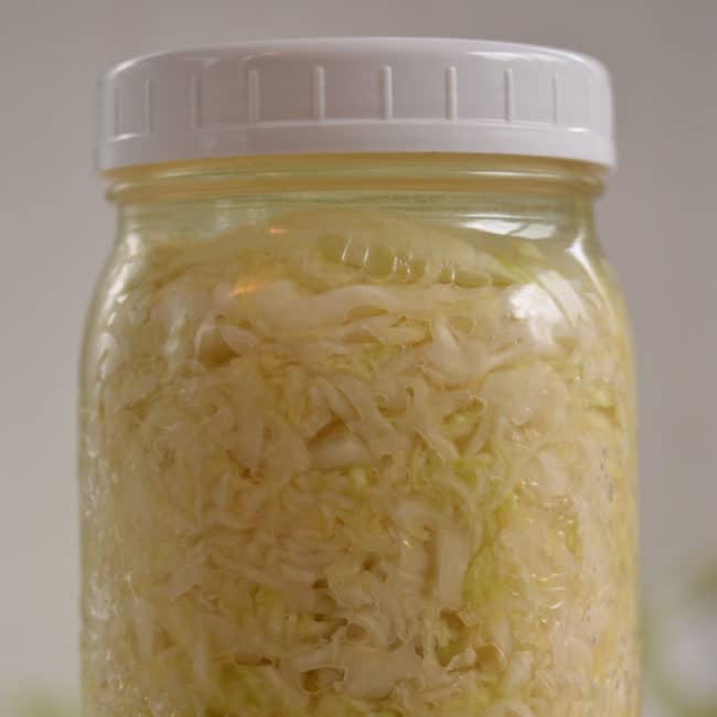 Front view of a plain sauerkraut using the pickled pebble fermentation weight at day 1. | MakeSauerkraut.com