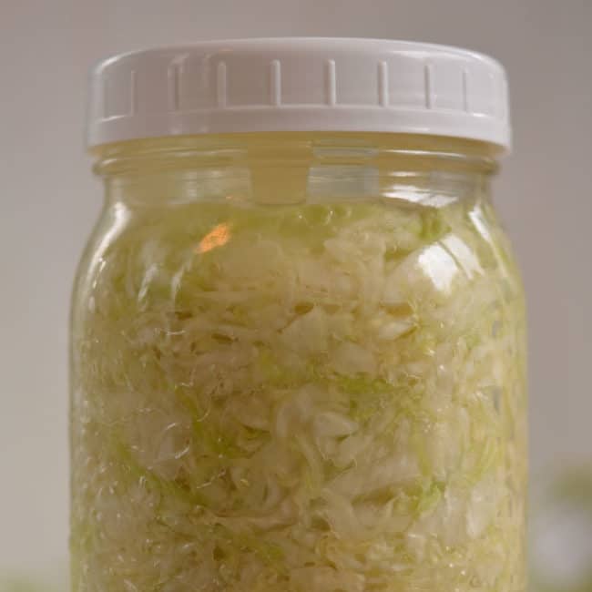 Front view of a plain sauerkraut using easy weight  fermentation weight at day 1. | MakeSauerkraut.com