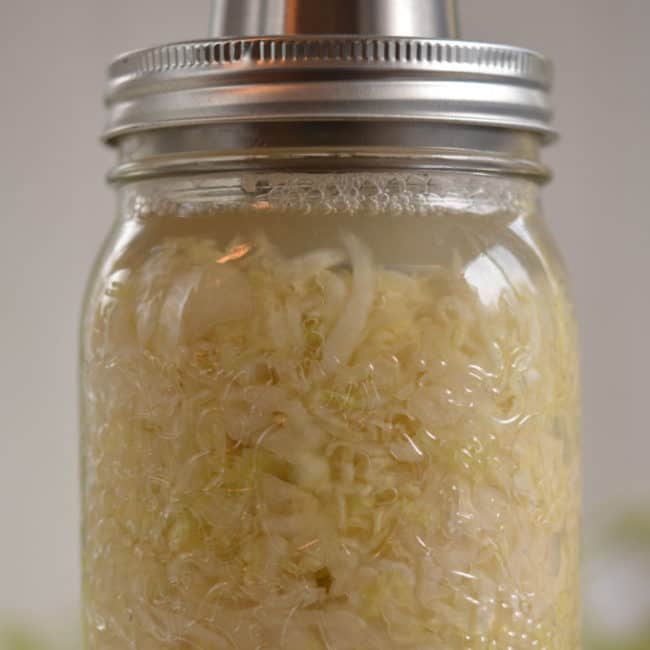 Front view of a plain sauerkraut using the Kraut Source fermentation weight at day 1. | MakeSauerkraut.com