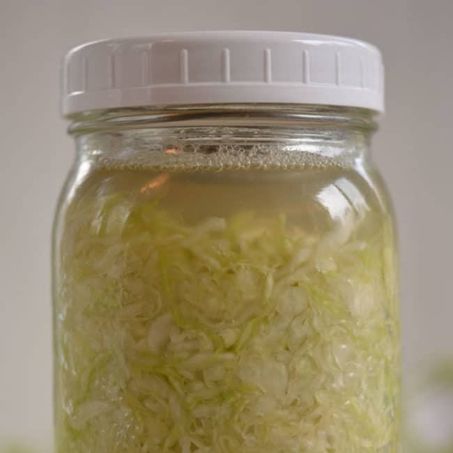 Front view of a plain sauerkraut using the Pickle Helix fermentation weight at day 1. | MakeSauerkraut.com
