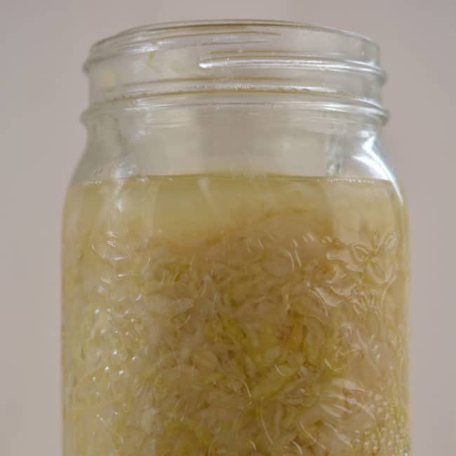 Front view of a plain sauerkraut using the small jelly jar fermentation weight at day 7. | MakeSauerkraut.com