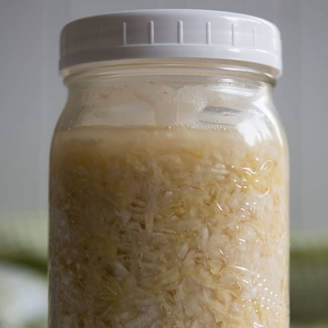 Front view view of a plain sauerkraut using Canning Buddies as fermentation weight at day 14. | MakeSauerkraut.com