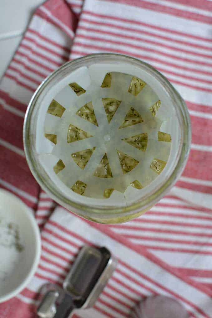 Top view of an opened jar of sauerkraut  with the Canning Buddies fermentation weight attached to the rim. | MakeSauerkraut.com